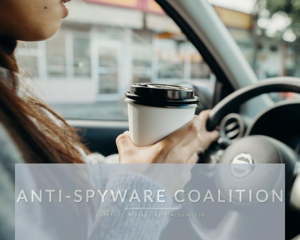 Woman in Gray Sweater Holding White Disposable Cup