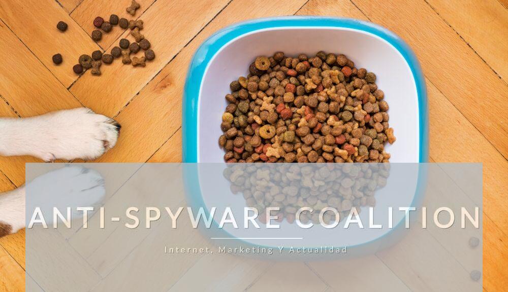 Cómo leer etiquetas y elegir la mejor alimentación para tu mascota