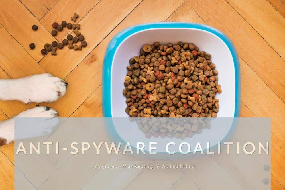 Cómo leer etiquetas y elegir la mejor alimentación para tu mascota